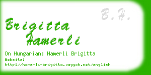 brigitta hamerli business card